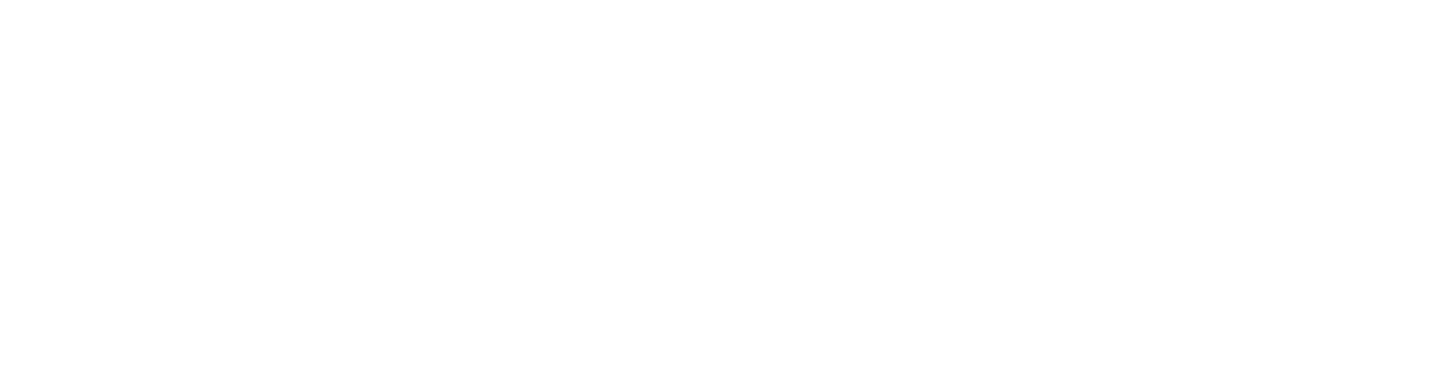 Tienda Nube Evolución