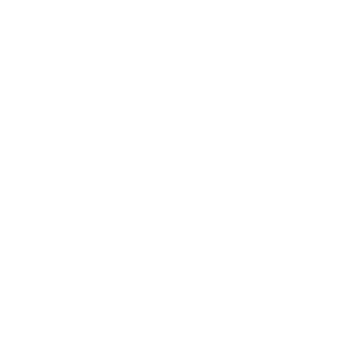 Icono1
