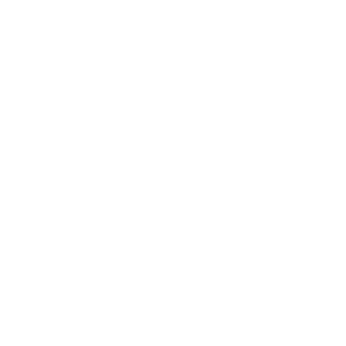 Icono6