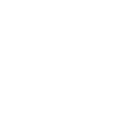 Icono4
