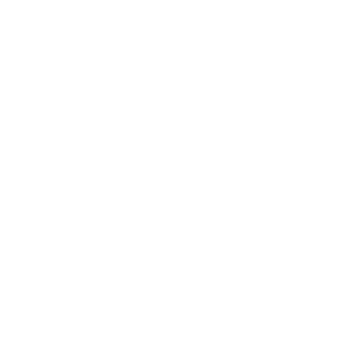 Icono5